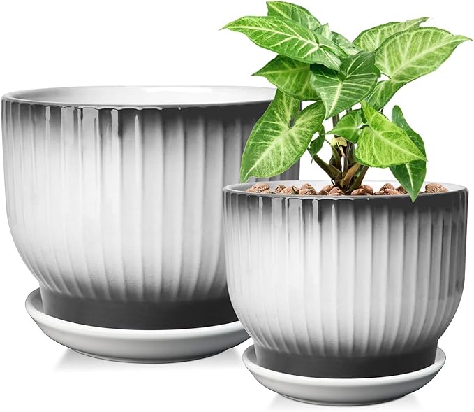 6.7 + 5.5 Inch Plant Pot, Ceramic Planter with Drainage and Saucer, Ceramic Pots for Plants, Indoor Plant pots,Ceramic Flower pots（Black + White, Plants NOT Included）