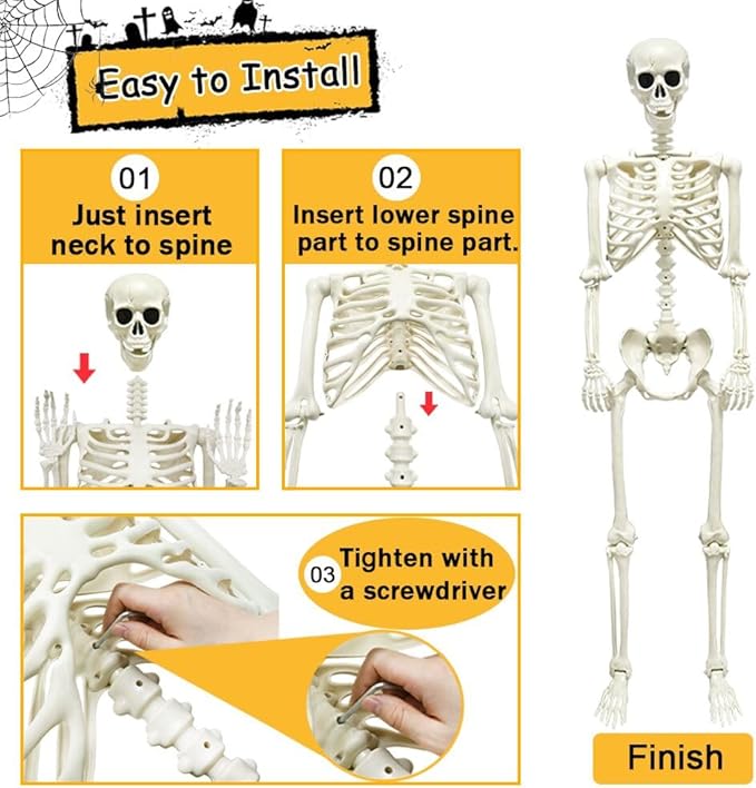 DINESIL 5.4ft/165cm Halloween Skeleton, Halloween Life Size Skeleton with Spider Pumpkin Bag, Full Body Human Bones with Movable Joints for Halloween Indoor Outdoor Haunted House Decorations