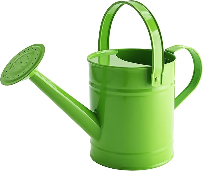 Finderomend Watering Can, Metal Watering Can 1.5L/51oz, Iron Art for Watering Bucket Home Office Small Portable Indoor Watering Equipment (Green)