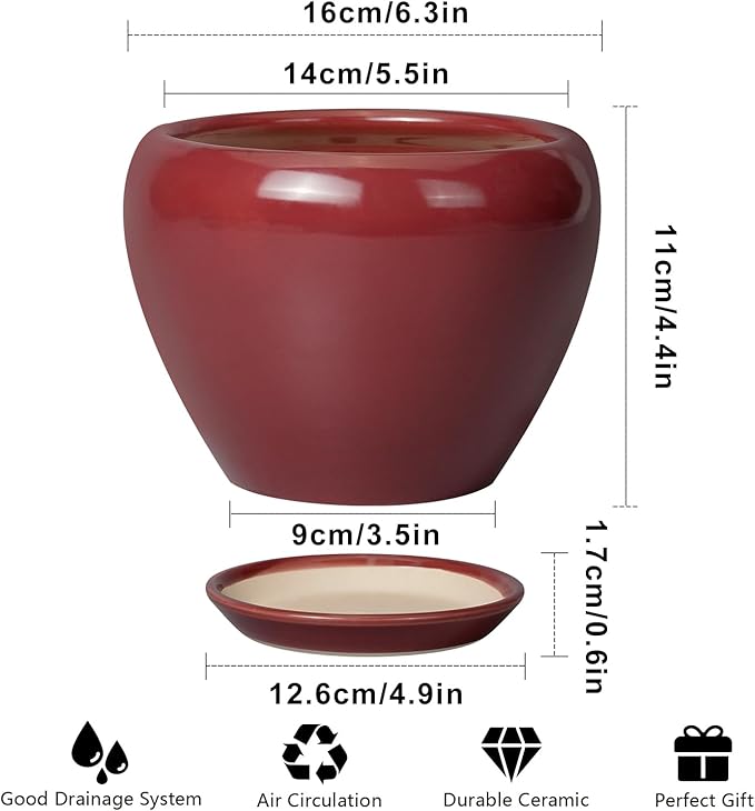Ceramic Pot for Plants - 6 Inch Plant Pot Indoor with Drainage Hole and Saucer Succulent Pot Outdoor Planter Round Flower Pot for House Patio Decor Red