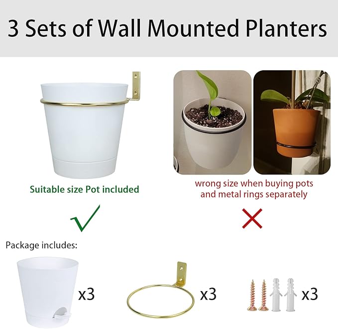 Wall Planters for Indoor Plants 3 Pack 6 Inch Flower Pot Holders Metal Ring with Self Watering Pots Wall Hanging Planters Gold-White