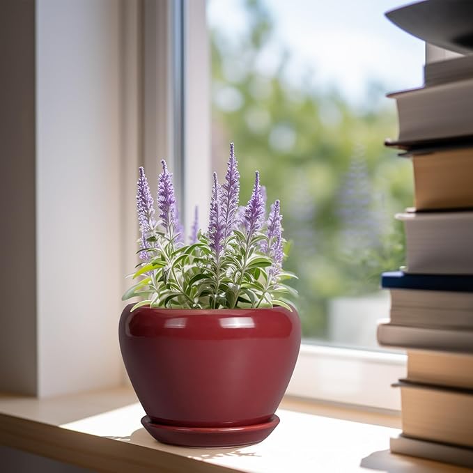 Ceramic Pot for Plants - 6 Inch Plant Pot Indoor with Drainage Hole and Saucer Succulent Outdoor Planter Round Flower Pot for House Patio Decor Red