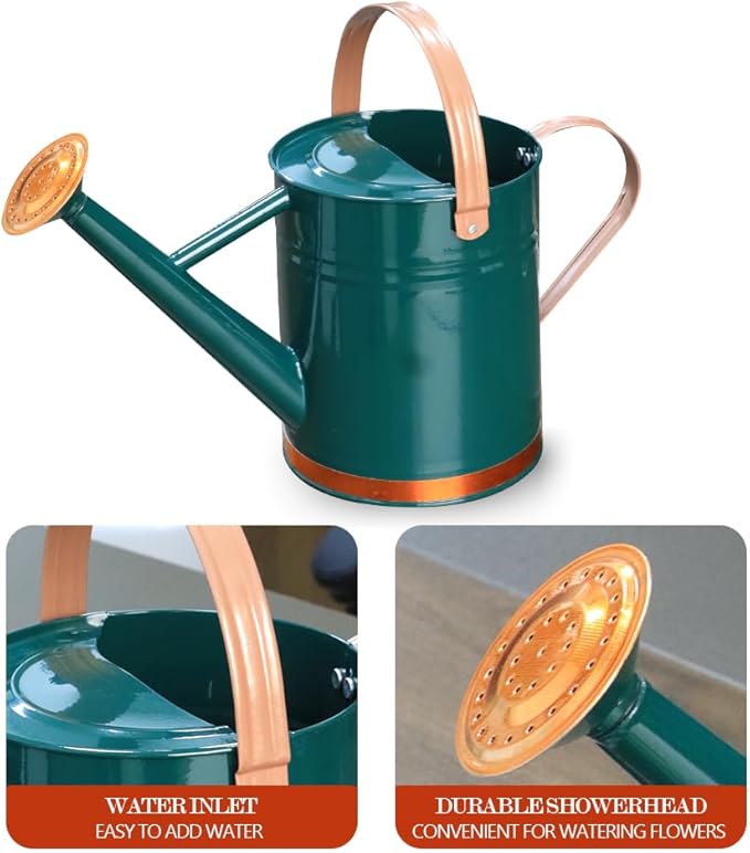 Metal Watering Can, One Gallon Watering Cans Stainless Steel for Outdoor Indoor Garden Plants Watering (One Gallon Green Decorative Strip)