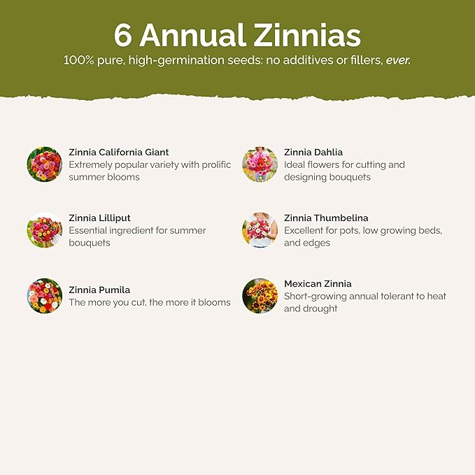 Eden Brothers Zin Master Flower Mixed Seeds for Planting, 1/4 lb, 120,000+ Seeds with California Giant, Mexican, Lilliput Zinnia | Attracts Pollinators, Plant in Spring, Zones 3, 4, 5, 6, 7, 8, 9, 10