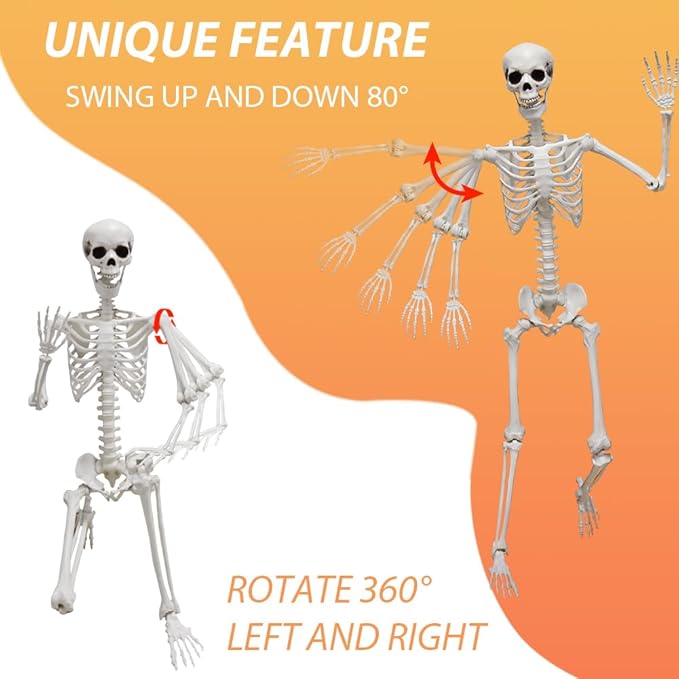 DINESIL 6Ft/185cm Halloween Skeleton, Life Size Skeleton Halloween Realistic Full Body Bones with Movable Joints for Halloween Party Haunted House Indoor Outdoor Decoration