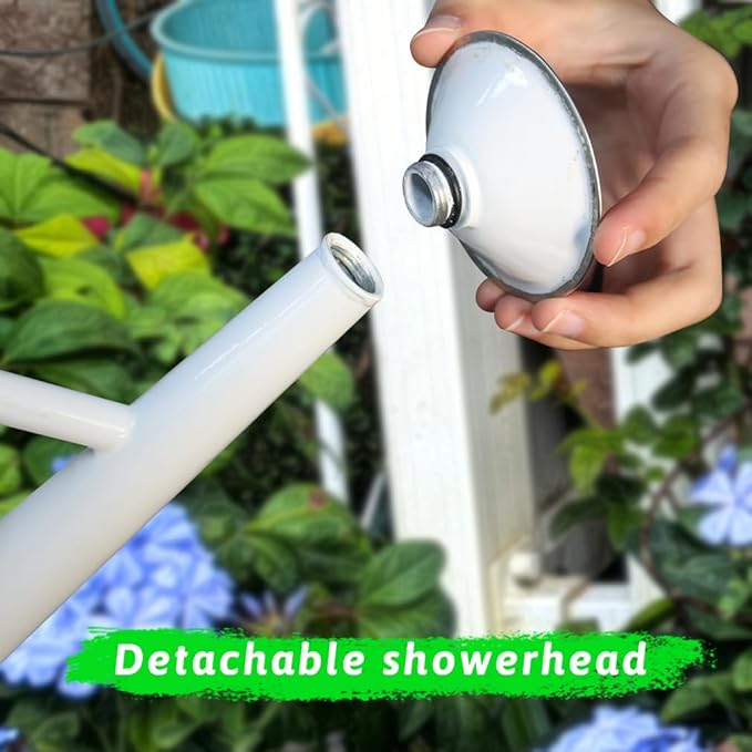 Metal Watering Can for Outdoor and Indoor Plants, Watering Can Decor, 1 Gallon (Leo)