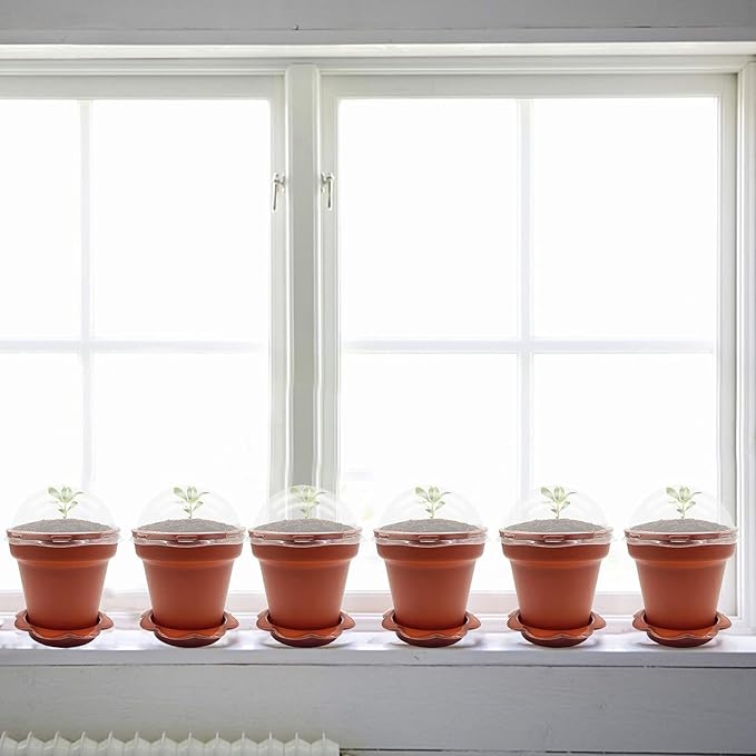 50 Packs Cupcake Plant Nursery Pots with Humidity Dome- Planting Containers Cups- Small Flower Pots with Trays & Lids for Indoor Outdoor Seedling Succulent Vegetable (Wine Red)