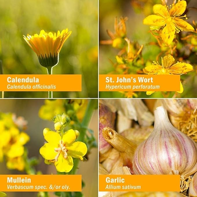 Herb Pharm Kids Mullein and Garlic 1 Fl