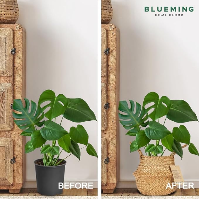 Basket Planter – Seagrass Plant Pot for Artificial Olive Tree, Decorative 6-7 Inch Indoor Wicker Pot with Handles (Original, Small)