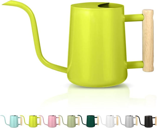 Watering Can Indoor Plants, 35oz Small Stainless Steel Metal Watering Can Modern Decorative Watering Pot with Long Spout for Indoor House Plant Bonsai Garden Flowers (Bright Green)
