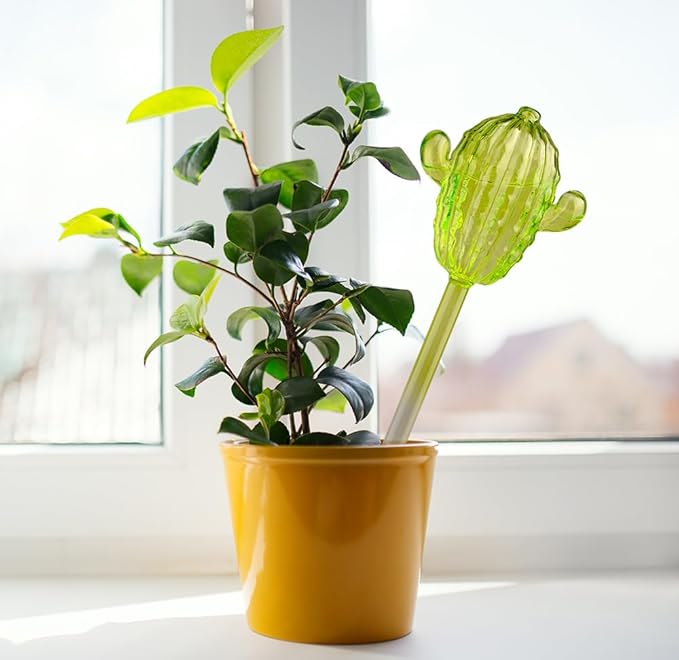 Adabocute Glass Plant Watering Globes, Cactus Self Watering Globes, Cacti Self Watering Planter Insert, Plant Watering Devices, Automatic Plant Waterer Indoor, Watering Bulbs, 3 Pack