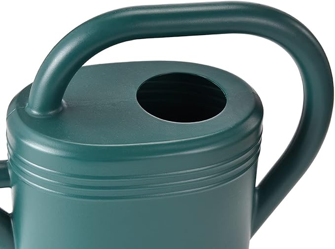 Watering Can 1 Gallon for Indoor Plants, Garden Watering Cans Outdoor Plant House Flower, Gallon Watering Can Large Long Spout with Sprinkler Head (Green)
