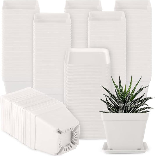 100 Pieces 4 Inch Flower Pots Square Plants Nursery Pot Plastic Plant Seedling Pots Nursery Transplanting Planter Container with Saucer for Indoor Herbs Succulents Balcony Garden Office (White)