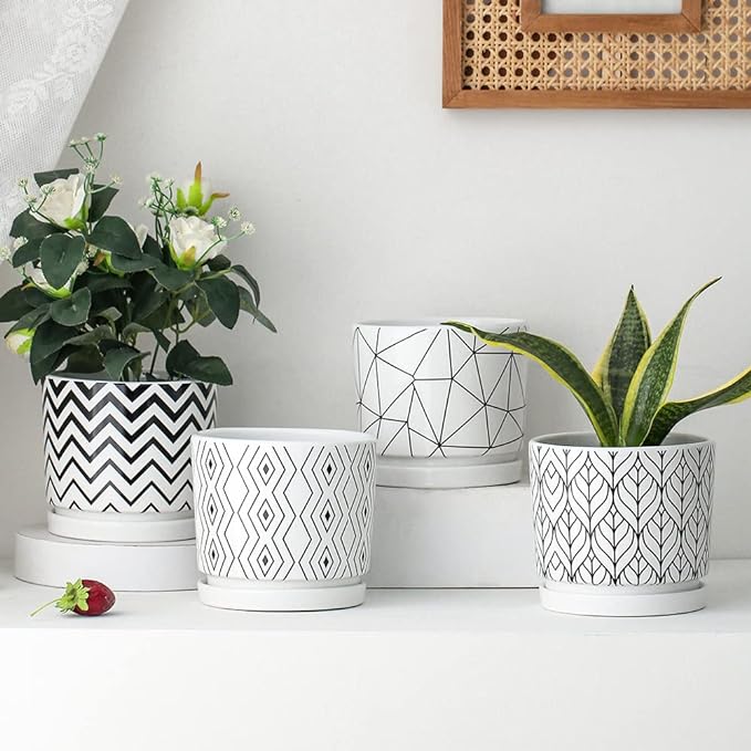 Ton Sin Plant Pots,5.5 Inch White Pots for Indoor Plants with Drainage Holes,Cylinder Flower Pot Ceramic Planters with Saucer,Cactus Succulent Outdoor Garden Pots Set of 4