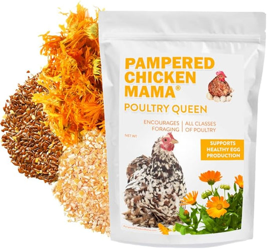 Pampered Chicken Mama Non-GMO Mealworm, Corn, Flax, & Herb Treat (10 Pounds) for Backyard Chickens, Healthy Layer Feed & Supplies for Pet Chickens Poultry Queen Treat for Hens