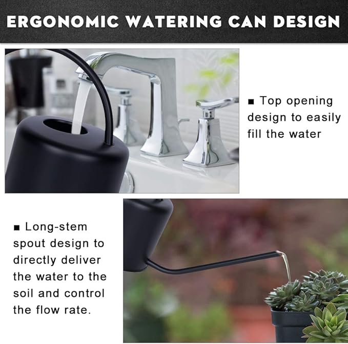 Remiawy Watering Can Indoor Outdoor Stainless Steel Watering Cans for House Plants Long Spout Water Can for Succulent Bonsai Garden Flower(40oz/1300ml)