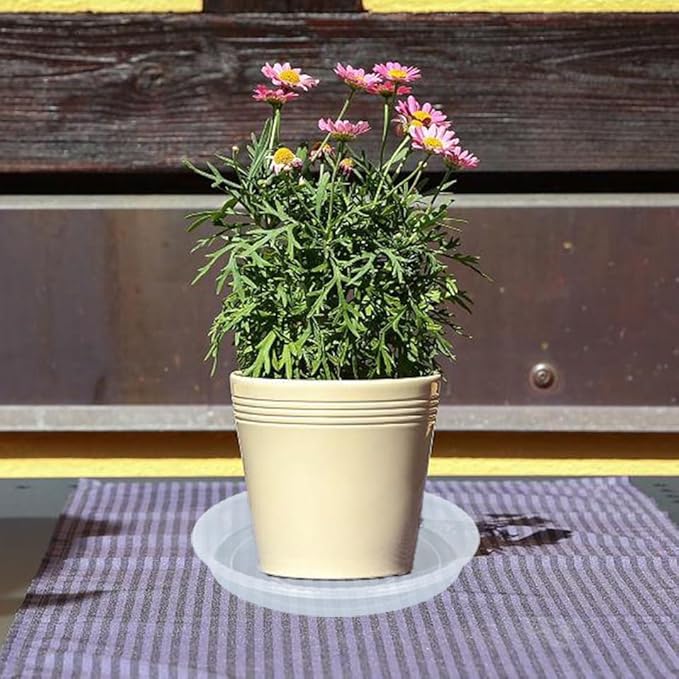 Plant Saucer 6 Pack of 10 inch, Clear Plastic Flower Plant Pot Saucer, Heavy Duty Plant Drip Trays Saucers for Indoor, Plant Water Tray for Planters