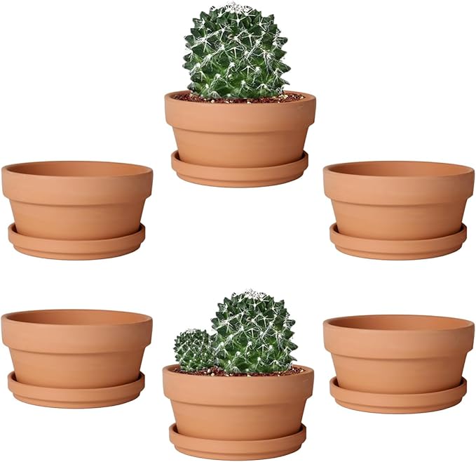 vensovo 5.7 Inch Terracotta Shallow Succulent Pot - 6 Pack Terra Cotta Clay Pots with Saucer, Cacuts Terra-Cotta Indoor and Outdoor Planters with Drainage Hole