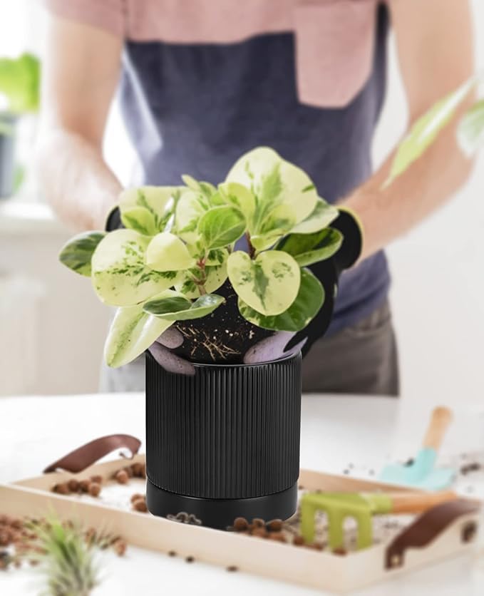 LaDoVita 3 Pack Ceramic Plant Pots 6/5/4 inch, Flowerpot for Indoor Plants with Drainage Holes and Tray, Outdoor Garden Planters, Modern Decorative for Home, Black Vertical Stripes