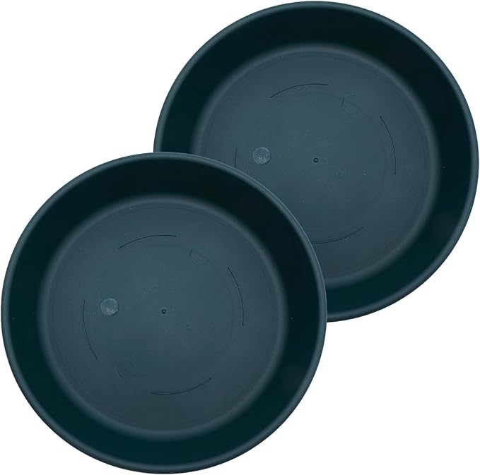 The HC Companies 12 Inch Round Plastic Classic Plant Saucer - Indoor Outdoor Plant Trays for Pots - 12.5"x12.5"x2.13" Evergreen (Pack of 2)