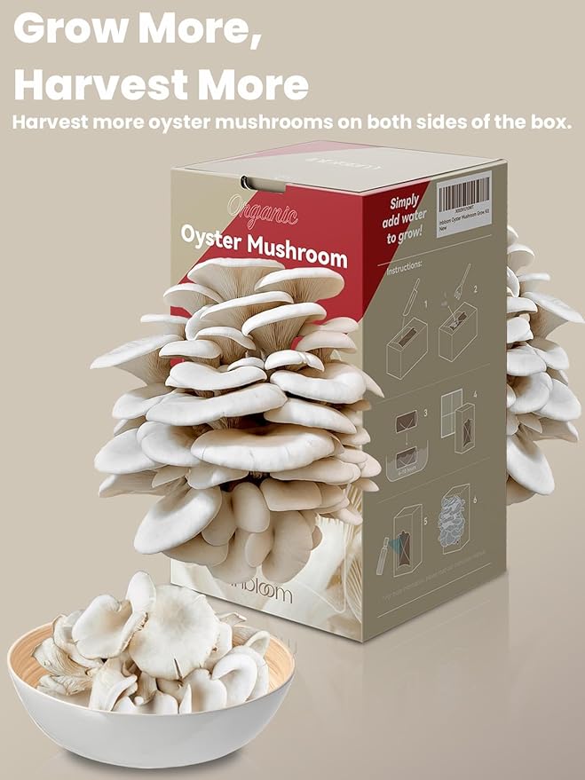 inbloom Organic Oyster Mushroom Growing Kit with Spray, Harvest Fresh Mushrooms at Home, Beginner Friendly & Easy to Use, Unique Gardening Gift for Holiday, Handmade in New Jersey, USA