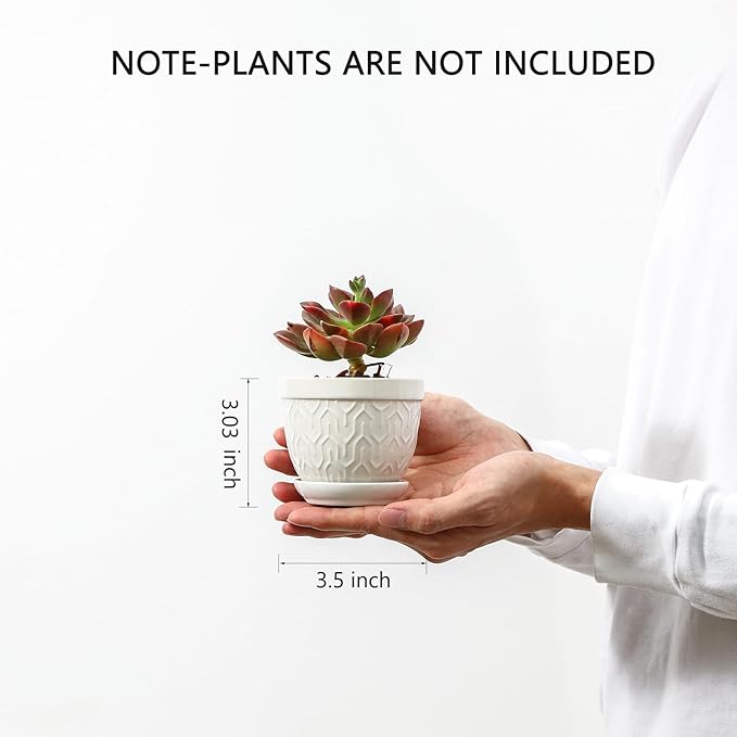 Sureasy Succulent Pots, 3.5 Inch Flower Pots for Indoor Plants, Small Plant Pots with Saucer & Drainage, Decorative Ceramic Planters for Succulent, Cactus, Set of 4, White