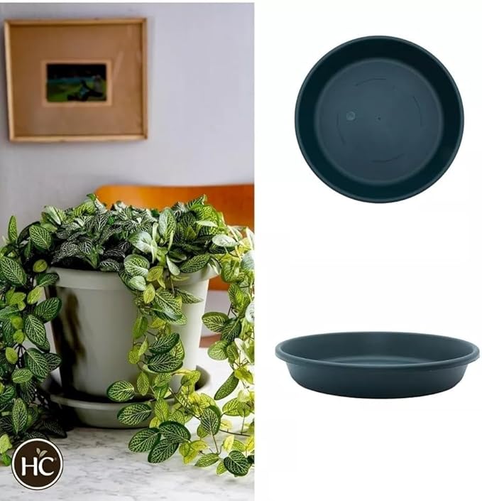 The HC Companies 8 Inch Round Plastic Classic Plant Saucer - Indoor Outdoor Plant Trays for Pots - 8.5"x8.5"x1.5" Evergreen