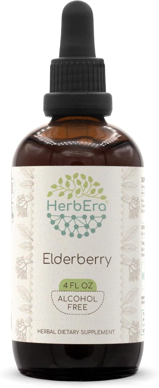 Elderberry B120 Herbal Extract Alcohol-Free Tincture, 4 fl