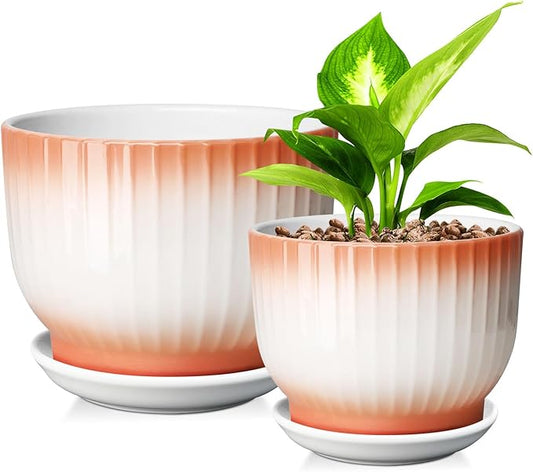 6.7 + 5.5 Inch Plant Pot, Ceramic Planter with Drainage and Saucer, Ceramic Pots for Plants, Indoor Plant pots,Ceramic Flower pots（Orange + White, Plants NOT Included）