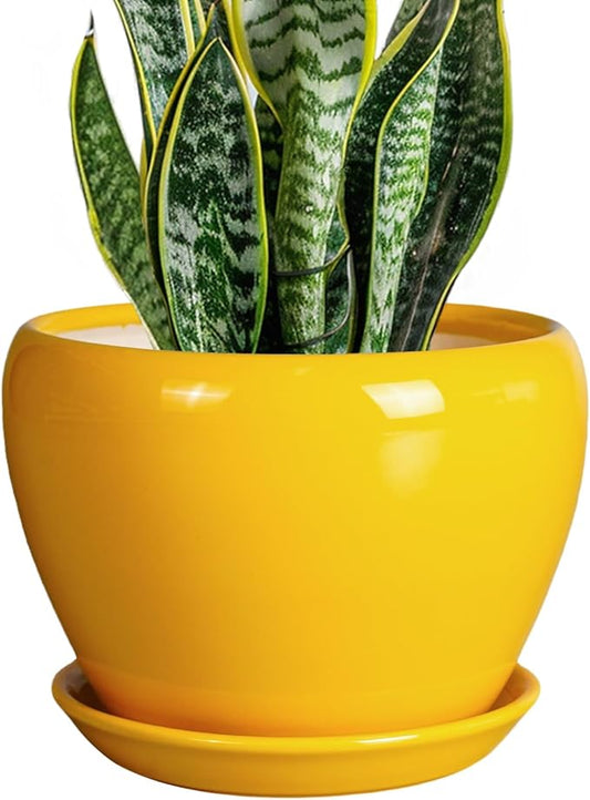 8 Inch Plant Pot - Glaze Modern Round Ceramic Planter for Indoor Outdoor Plants with Drainage Hole and Saucer for Home Patio Room Office Decor, Yellow