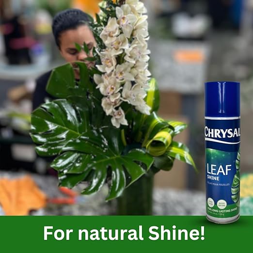Chrysal Leafshine 5.6 oz Spray for Indoor Plants – Flower Arrangement Spray for Bouquets, House Plants & More – Environmentally Safe Dust Remover & Leaf Cleaner (3 Pack)