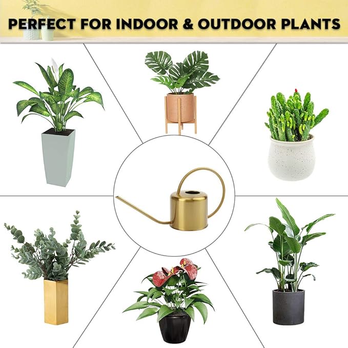 Remiawy Watering Can Indoor Outdoor Stainless Steel Watering Cans for House Plants Long Spout Water Can for Succulent Bonsai Garden Flower(40oz/1300ml)