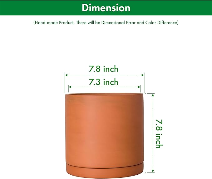 D'vine Dev Medium 8 Inch Terracotta Plant Pot with Drainage Hole and Saucer, Round Cylinder Planter Pot for Indoor Plants, Set of 2, 40-X-B-4