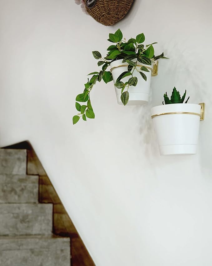 Wall Planters for Indoor Plants 3 Pack 6 Inch Flower Pot Holders Metal Ring with Self Watering Pots Wall Hanging Planters Gold-White