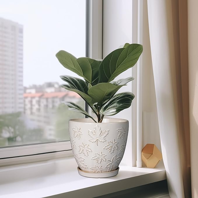 Ceramic Pots for Plants - 8 Inch Plant Pot with Drainage Hole and Saucer Large Planter Pot for Indoor Plants Outdoor Modern Flower Pot Home Decor White