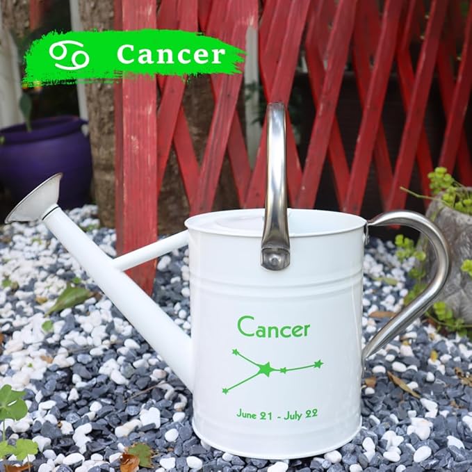 Metal Watering Can for Outdoor and Indoor Plants, Watering Can Decor, 1 Gallon (Cancer)