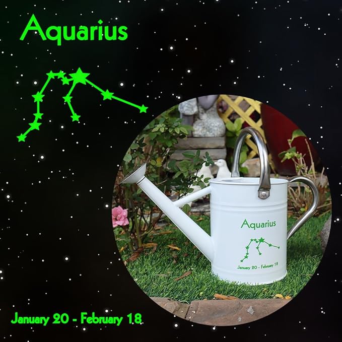 Metal Watering Can for Outdoor and Indoor Plants, Watering Can Decor, 1 Gallon (Aquarius)