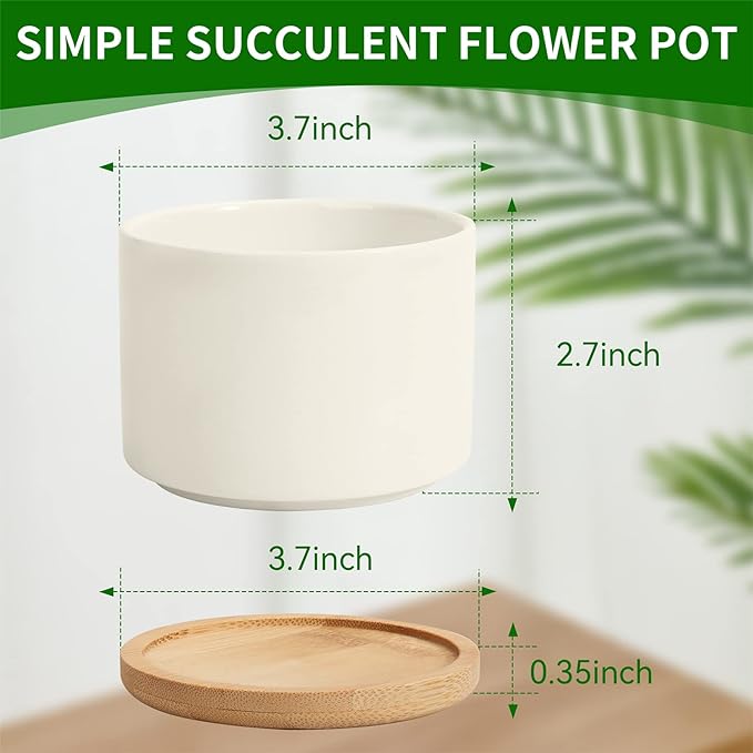 ZOUTOG Plant Pot 4 Inch, Ceramic Succulent Pots with Drainage Hole & Bamboo Tray, Pack of 6 White Small Flower Pots for Home, Office, Indoor or Outdoor Decor - Plants Not Included