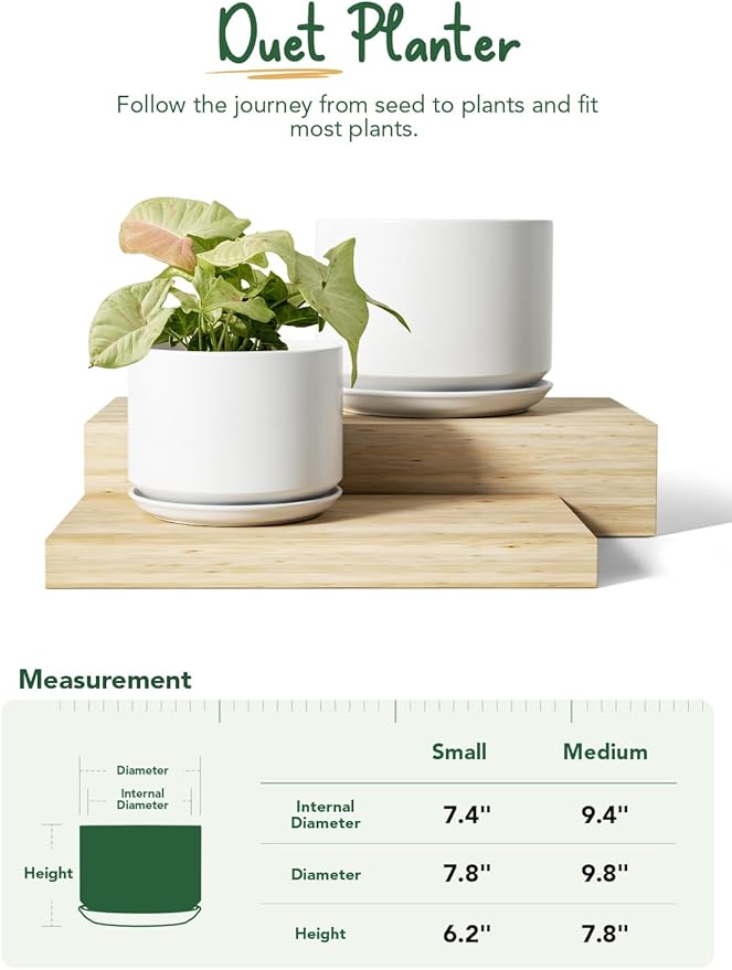 LE TAUCI Ceramic Plant Pots, 8 + 10 Inch Pots for Plants, Indoor Plant Pots for Home and Office, Modern Flower Pots Fit Mid Century Plant Stand, Planters with Drainage Holes and Saucers, White