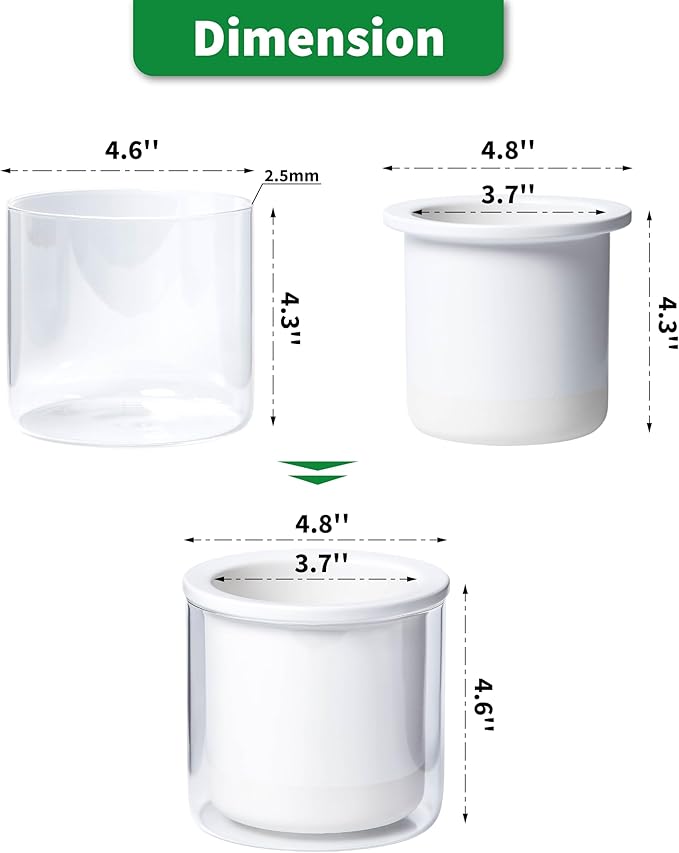 Phoenix Vine 4 Inch Self Watering Planter Pot, Design White Terracotta Pots for Plants, Indoor Cylinder Terra Cotta Pots with Glass Vase, Set of 1, 51-B-E-1