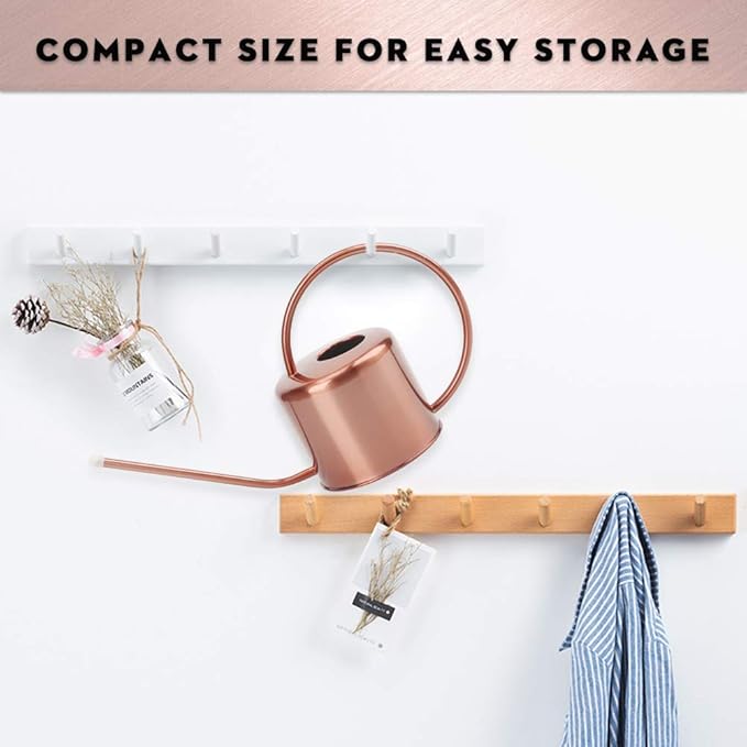 Remiawy Watering Can Indoor Outdoor Stainless Steel Watering Cans for House Plants Long Spout Water Can for Succulent Bonsai Garden Flower(40oz/1300ml)