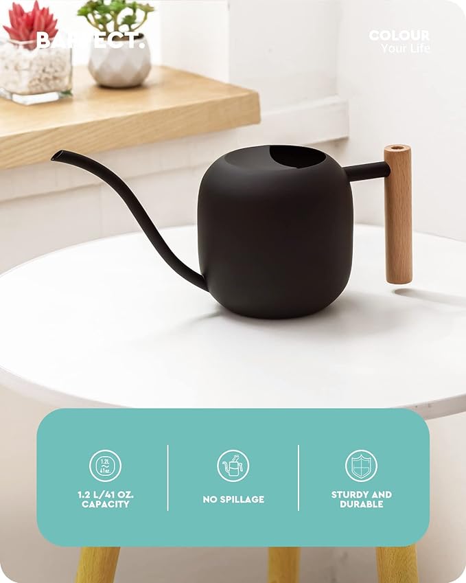 Baffect Watering Can Indoor Plants, 1.2L/41OZ Cute Watering Can Pot, Metal Stainless Steel Garden Watering Can with Long Spout for Indoor House Plants Bonsai Outdoor Garden Flower Decorative