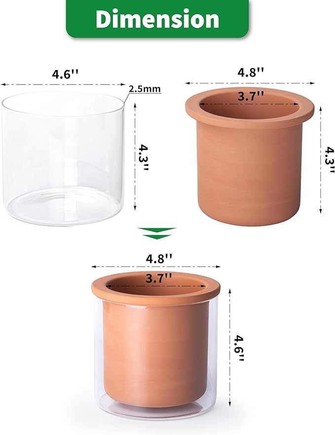 Phoenix Vine 4 Inch Self Watering Plants Pot, Design Terracotta Pot for Plants, Indoor Cylinder Terra Cotta Planter with Glass Vase, Set of 2, 51-A-E-2