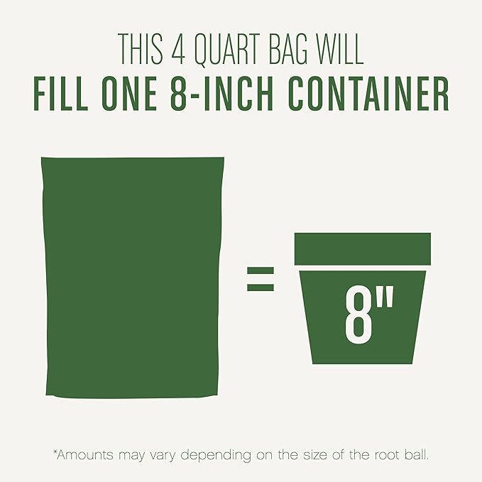 Miracle-Gro Succulent Potting Mix, For Indoor Succulents, Aloe Vera and More, Made with Miracle-Gro Plant Food, 4 qt