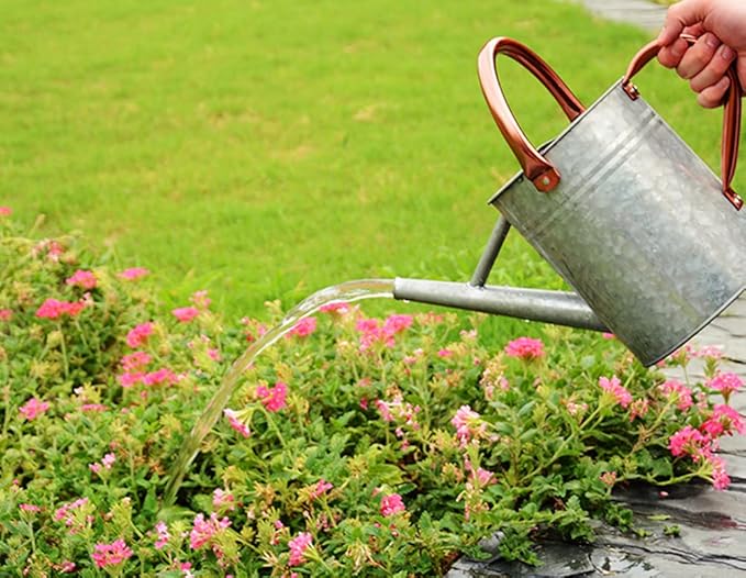 Metal Watering Can, One Gallon Watering Cans Stainless Steel for Outdoor Indoor Garden Plants Watering (Zinc 1 Gallon)