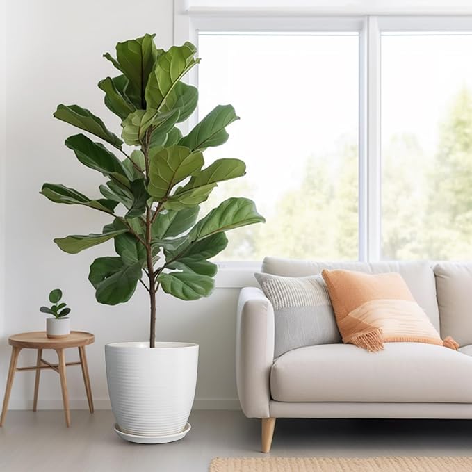 12 Inch Ceramic Planter Pot, Large Planter Pot with Drainage Hole and Saucer Round Flower Pot for Indoor Outdoor Plants, White