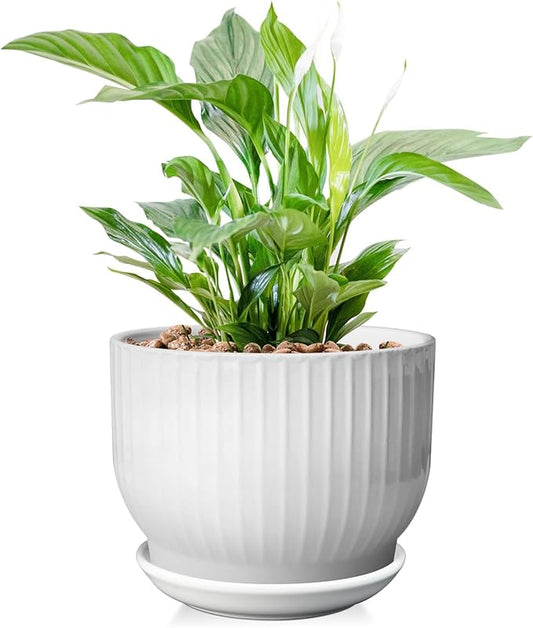 8 Inch Plant Pot, Ceramic Planter with Drainage and Saucer, Ceramic Pots for Plants, Indoor Plant pots,Ceramic Flower pots(Pure White, Plants NOT Included)