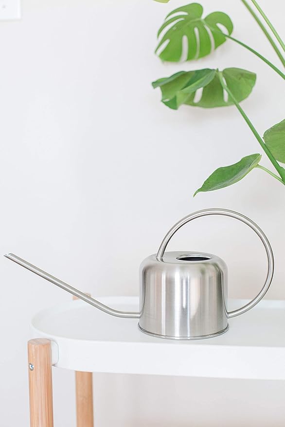 Stainless Steel Watering Can for Houseplants by Houseplant Resource Center | 1L Capacity for Indoor/Outdoor Plants in Brushed Silver