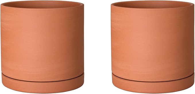 D'vine Dev Small 5 Inch Terracotta Plant Pot with Drainage Hole and Saucer, Round Cylinder Planter Pot for Indoor Plants, Set of 2, 40-X-B-2