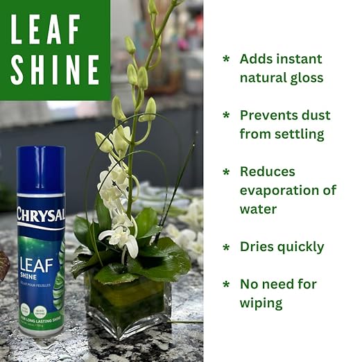 Chrysal Leaf Shine Spray for Indoor Plants – Flower Arrangement Spray for Flower Bouquets, House Plants, & More – Environmentally Safe Plant Cleaner Removes Dust – Flower & Gardening Supplies (2 Pack)